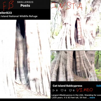 877669F0-7272-45F3-A900-DA035334C3F7.jpeg
