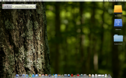 tree-desk.png