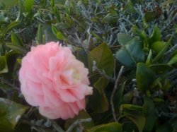 IMG_0542.JPG