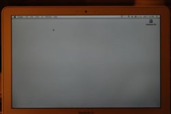 DSC_2137.jpg