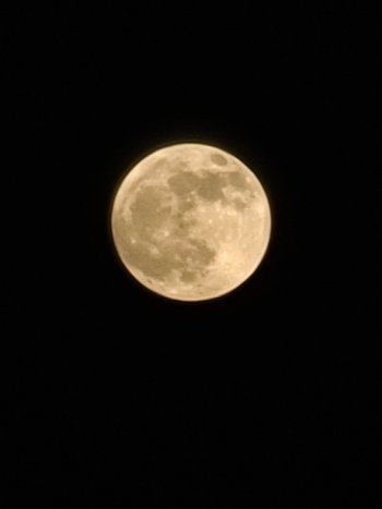 20201129_175128.jpg