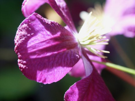 samples - 7.jpg