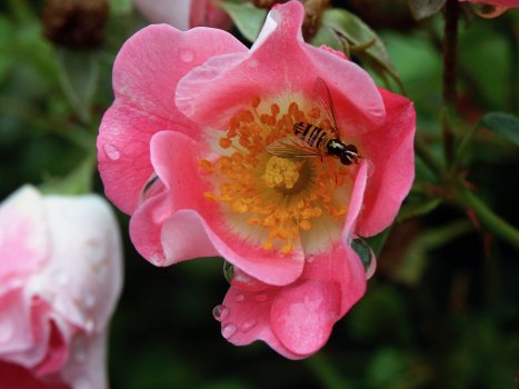 samples - 10.jpg