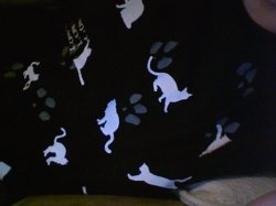 Photo 20.jpg