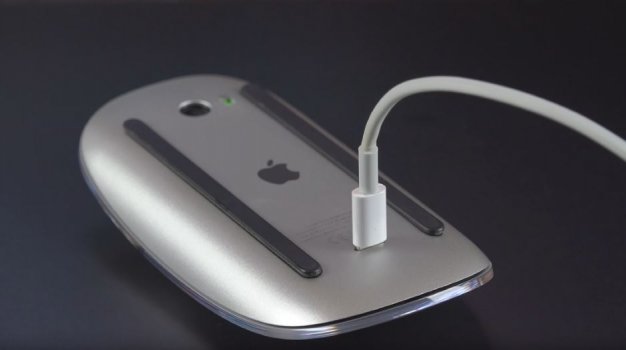 1 Mouse.jpg