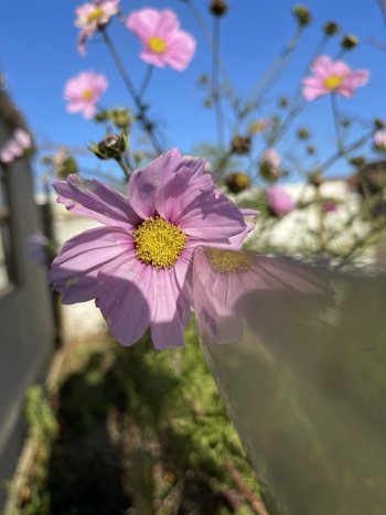 25902A89-27BC-47F3-B4C9-822655AE00B4.jpeg