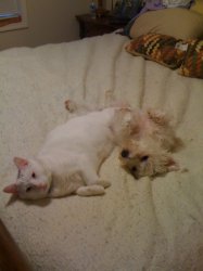 IMG_0011.jpg