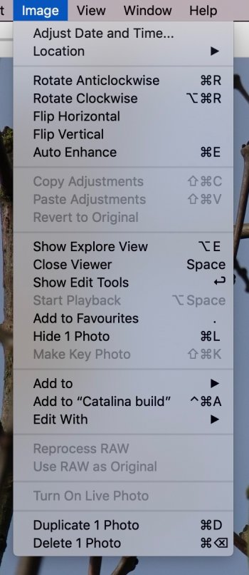 Screenshot 2021-02-04 at 14.35.56.jpg