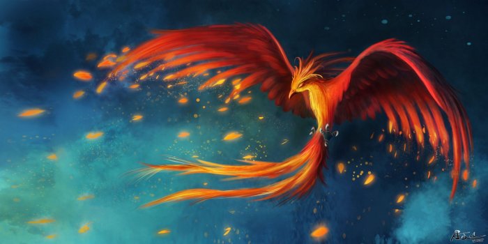 wp2038518-phenix-wallpapers.jpg