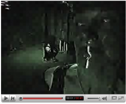 Picture 3.png