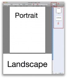 Picture 5.png