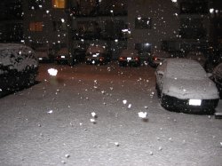IMG_0514.JPG