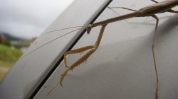 DSC01647.JPG