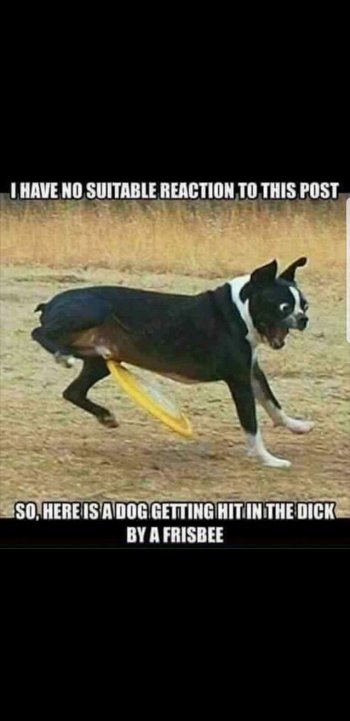 Reaction to this post.jpg