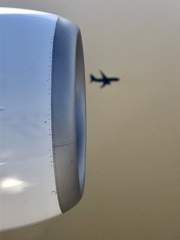 IMG_0805.JPG
