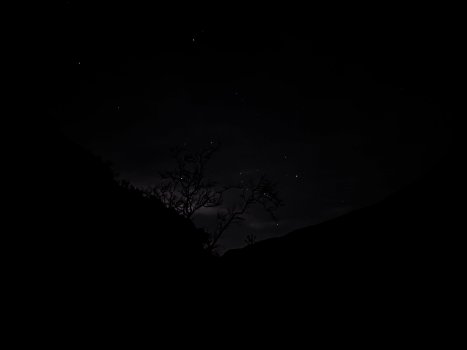 908CDD85-D756-4407-A7A8-5E6EBF945F0B.jpeg