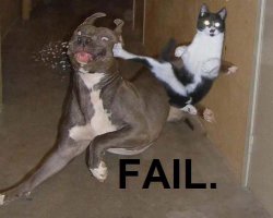 fail-1.jpg