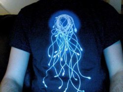 Photo-3.jpg