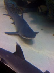 IMG_0192.JPG