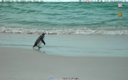 April Desktop (290408).jpg