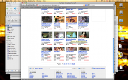 Picture 1.png