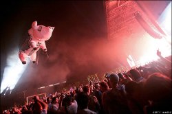 floydpig.jpg