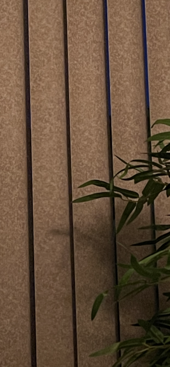 8F4E676B-0BD9-4106-8993-37FFB2B1E904.png