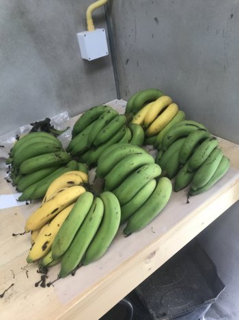 40F8FA28-FDA9-407F-9148-363CF89058D4.jpeg