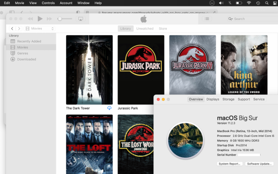 Screen Shot 2021-04-17 at 1.58.47 PM.png