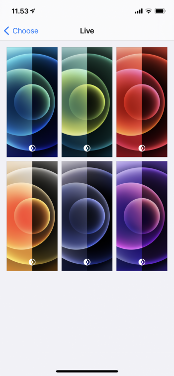 AF42C92E-40BA-495C-82BB-0DDA974DCCAF.png