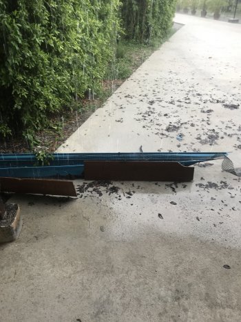 IMG_0303.jpeg IMG_0303.jpeg