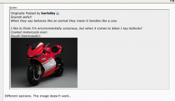 Picture 1.png