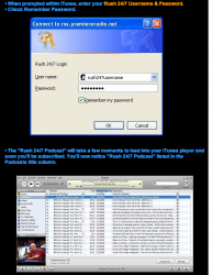Picture 1.png