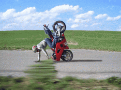 HandBike.gif