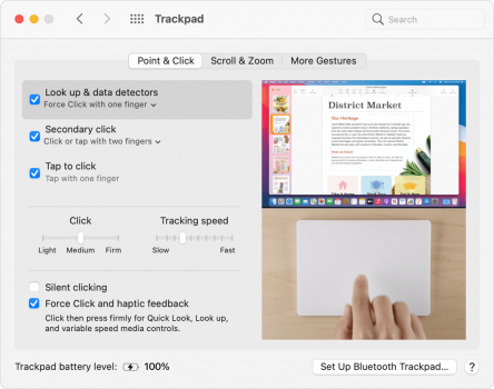 macos-big-sur-system-prefs-trackpad-ext-point-click.png