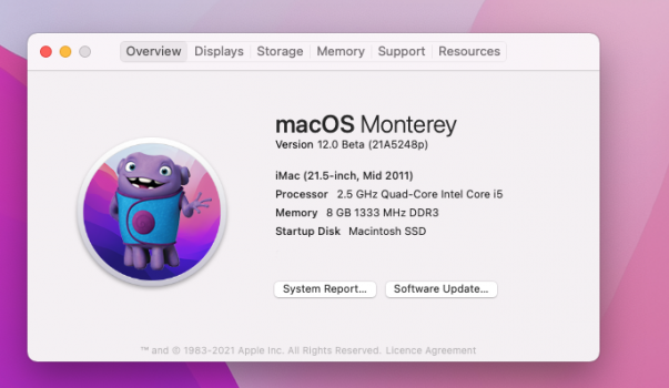 macos monterey issues macos monterey issues