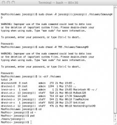 Terminal.jpg
