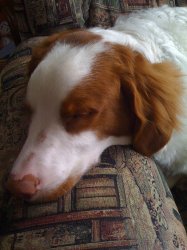 IMG_0134.JPG