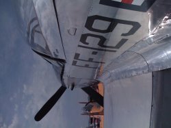 IMG_0499.JPG