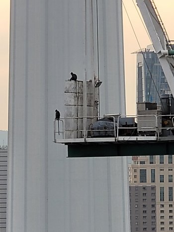 20210729_184533.jpg