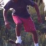pauly b