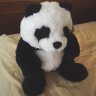 Pandabear90