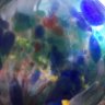 ExCalDelta