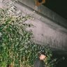 lukekim95