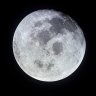 mooncheese