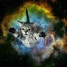 tawnycat