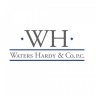 Waters Hardy & Co Avatar