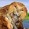 OffensiveBeaver