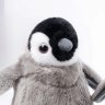jacquesvfd Avatar