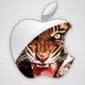 itiger